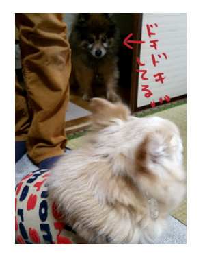 マル 福 実家