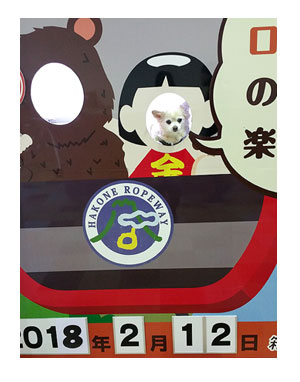 箱根 犬 顔 ハメ 写真