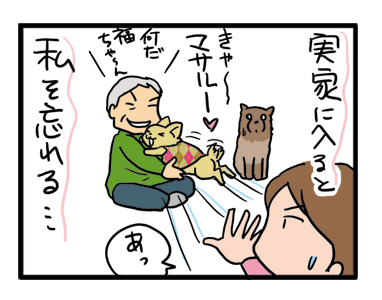 実家 親 老 犬 預け 親 チワワ ポメ まんが 漫画 マンガ