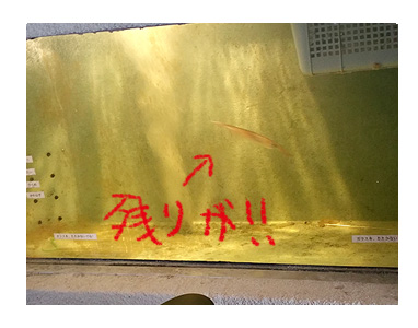 博多 福岡 はかた 中州 屋台 ラーメン 長浜 犬 イカ