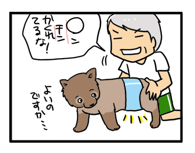 マル オムツ おむつ マナー パンツ シッコ おもらし 犬 老犬 まんが 漫画 イラ