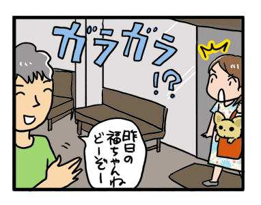 動物 病院 混雑 朝 空 謎 まんが イラスト