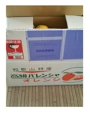 おれんじ バレンシア バレンシャ オレンジ みかん 和歌山