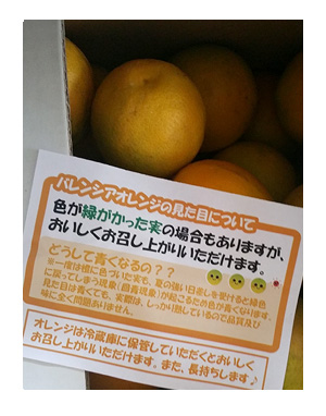 おれんじ バレンシア バレンシャ オレンジ みかん 和歌山