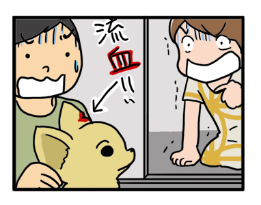バリカン 流血 血 耳 犬 チワワ イラスト 絵 犬