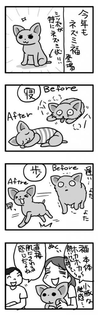 サマーカット 良 涼し ビフォーアフター 犬 チワワ まんが 漫画 まんが