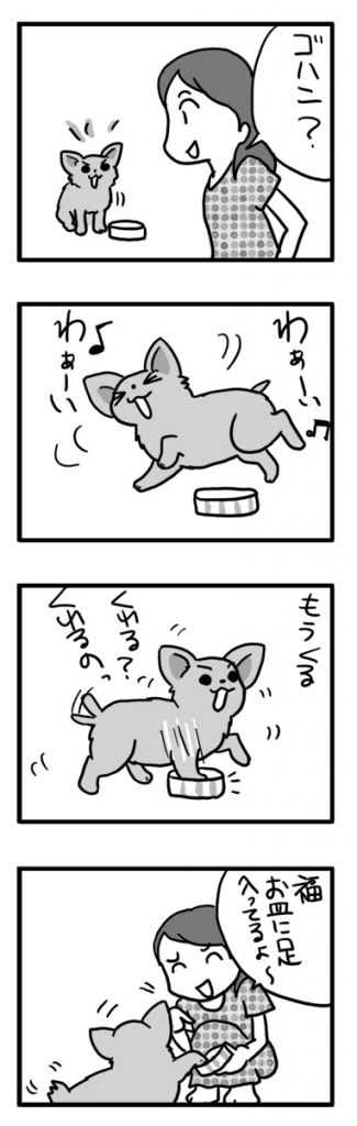 皿 犬 ゴハン ご飯 足 興奮 嬉 テンション 漫画 マンガ まんが