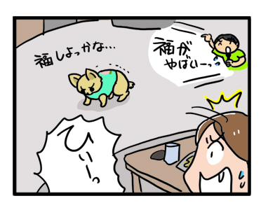 伊豆 いず 犬 専用 ホテル サンロード プール 水泳 一緒 泳 温泉 宿 旅行 漫画 まんが イラスト