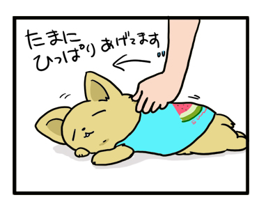 シャツ 犬 シャツ ダラ のび 首