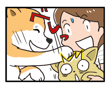 東北 秋田 十和田湖 秋田 秋田犬 あきたけん いぬ 夏 犬 チワワ 老犬 旅行 ペット