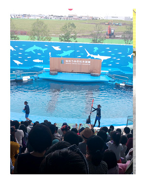 東北 仙台 水族館 仙台 うみの杜水族館 夏 犬 チワワ 老犬 旅行 ペット 一緒 宿 車