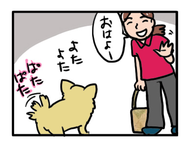 留守番 チワワ 福 犬 ペット シッター 自宅 旅行 老犬 介護 ケアペッツ まんが マンガ