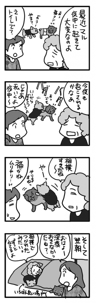 相撲 犬 チワワ ポメ 睡眠 障害 相撲 運動 まんが 漫画 老人 マンガ