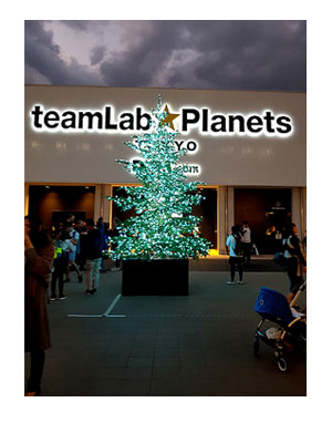 ラボ チームラボ teamLab Planets プラネット 東京 アート インスタ 水 豊洲