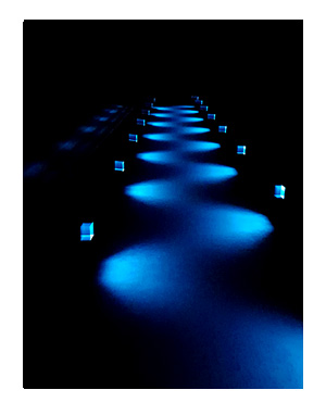 ラボ チームラボ teamLab Planets プラネット 東京 アート インスタ 水 豊洲