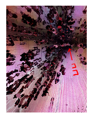 ラボ チームラボ teamLab Planets プラネット 東京 アート インスタ 水 豊洲