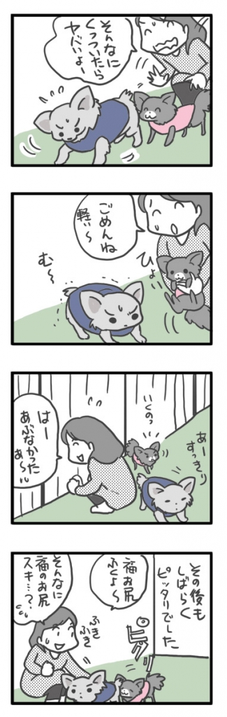 昭和 記念 公園 ドッグラン 犬 チワワ ガウリン 吠え 漫画 マンガ まんが
