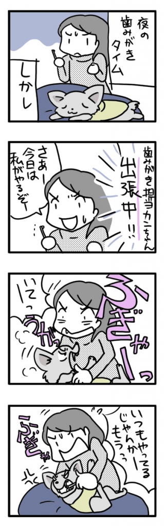 チワワ 福 犬 歯磨き 歯 怒 出張 まんが 漫画 マンガ