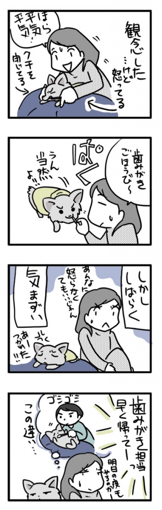 チワワ 福 犬 歯磨き 歯 怒 出張 まんが 漫画 マンガ