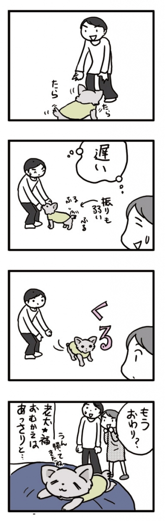 老犬 チワワ 迎え あっさり 犬 まんが マンガ 漫画