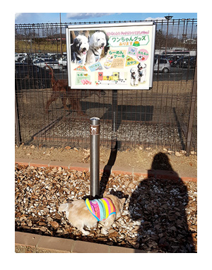 那須 なす 那須高原 旅行 温泉 ペット 犬 チワワ 老犬 旅行 バイキング ホテル 飲 呑 放題 イラスト わんこ ワンコ 漫画