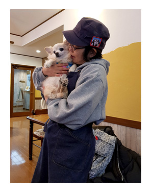 那須 なす 那須高原 旅行 温泉 ペット 犬 チワワ 老犬 旅行 バイキング ホテル 飲 呑 放題 イラスト わんこ ワンコ 漫画
