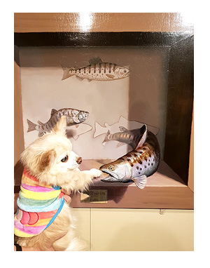 那須 なす 那須高原 旅行 温泉 ペット 犬 チワワ 老犬 旅行 トリック アート 写真 インスタ イラスト わんこ ワンコ 漫画