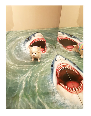 那須 なす 那須高原 旅行 温泉 ペット 犬 チワワ 老犬 旅行 トリック アート 写真 インスタ イラスト わんこ ワンコ 漫画