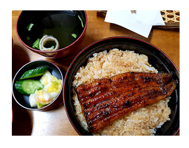 うなぎ ウナギ 鰻 たかせ 高瀬 日野 行列 予約 丼 まんが 漫画