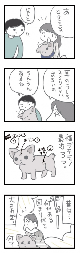 チワワ 老犬 福 ガウリン 吠 イボ できもの デキ 固 腫瘍 陽 爺 老 ワン 犬 まんが 漫画 マンガ