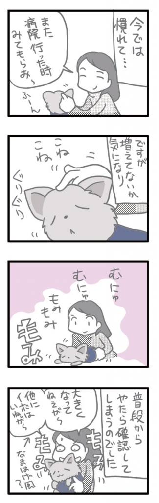 チワワ 老犬 福 ガウリン 吠 イボ できもの デキ 固 腫瘍 陽 爺 老 ワン 犬 まんが 漫画 マンガ