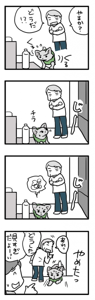 チワワ 老犬 福 ガウリン 吠 トイレ 見 できない 嫌 老 ワン 犬 まんが 漫画 マンガ