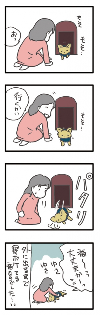 チワワ 老犬 福 ガウリン 吠 散歩 寝 遅 ノロ ゆっくり 遭難 爺 老 ワン 犬 まんが 漫画 マンガ