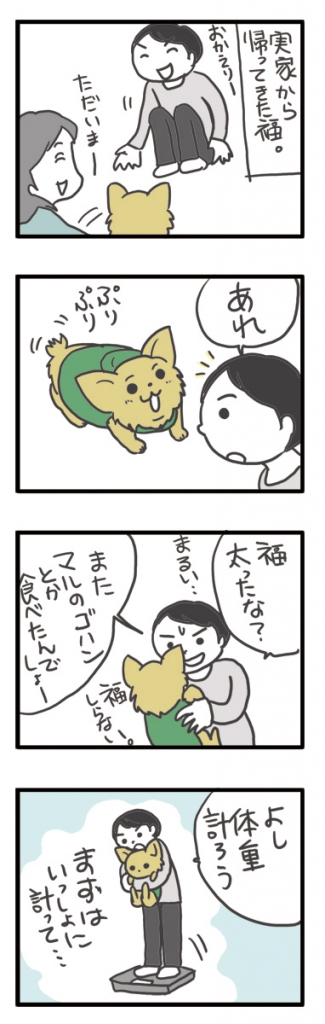 チワワ 老犬 福 ガウリン 吠 体重 増 脂肪 腹 太 ダイエット 爺 老 ワン 犬 まんが 漫画 マンガ