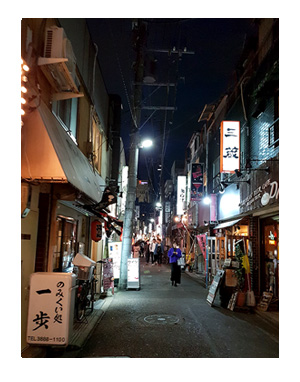 花見 2019 桜 ソメイ 早 北千住 酒 呑み 船 屋形船