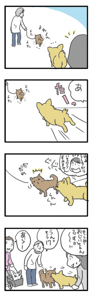 チワワ 老犬 福 ガウリン 吠 散歩 仲間 嗅ぐ 爺 老 ワン 犬 まんが 漫画 マンガ