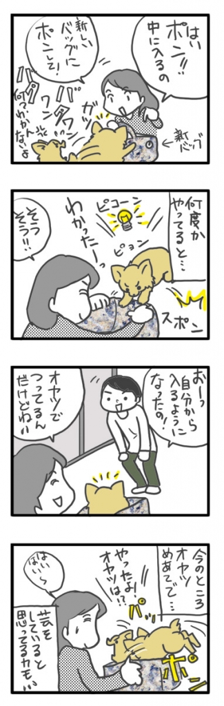チワワ 老犬 福 ガウリン 吠 キャリー バッグ 変 軽 慣れ 爺 老 ワン 犬 まんが 漫画 マンガ