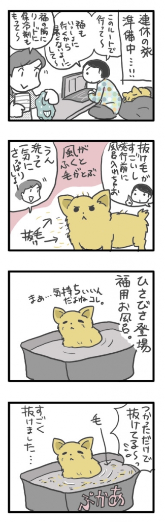 チワワ 老犬 福 ガウリン 吠 旅行 浮かれ 飼主 謎 四国 連休 船 爺 老 ワン 犬 まんが 漫画 マンガ