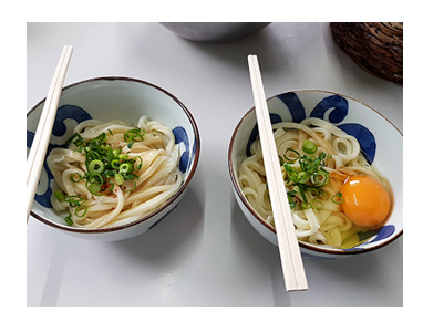 チワワ 老犬 福 吠 四国 徳島 香川 車 連休 うどん 三嶋 製麺 三島 ウドン ペット 泊 爺 犬 まんが 漫画 マンガ