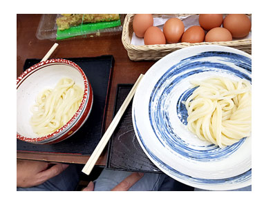 チワワ 老犬 福 吠 四国 徳島 香川 車 連休 うどん 三嶋 製麺 三島 ウドン ペット 泊 爺 犬 まんが 漫画 マンガ