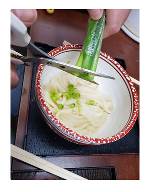 チワワ 老犬 福 吠 四国 徳島 香川 車 連休 うどん 日の出 ひので 日出 製麺 三島 ウドン ペット 泊 爺 犬 まんが 漫画 マンガ