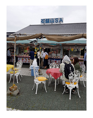 チワワ 老犬 福 吠 四国 高松 香川 うどん ウドン 山越え 山越 やまごえ ヤマゴエ ペット 泊 爺 犬 まんが 漫画 マンガ