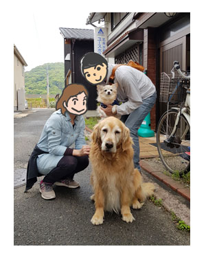 チワワ 老犬 福 吠 四国 北条 海賊 村上 博多の 伯方の 潮 工場 ペット 泊 爺 犬 まんが 漫画 マンガ