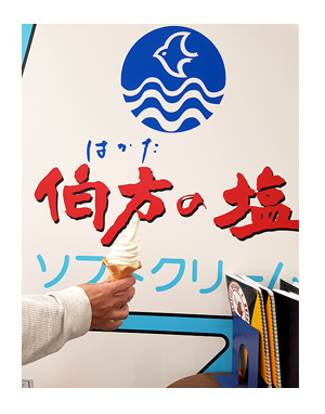 チワワ 老犬 福 吠 四国 北条 海賊 村上 博多の 伯方の 潮 工場 ペット 泊 爺 犬 まんが 漫画 マンガ