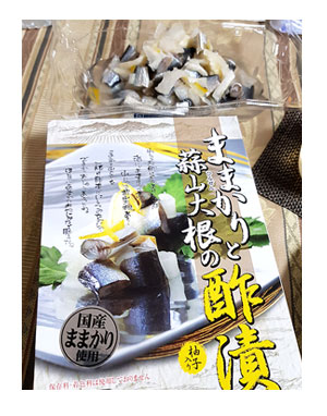 チワワ 老犬 福 吠 岡山 頭島 かしら 瀬戸内 貸し 別荘 島 車 泊 ペット 泊 爺 犬 まんが 漫画 マンガ