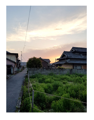 チワワ 老犬 福 吠 伊賀 三重 桜 夢 忍者 銭湯 凄 安心 貸 一棟 犬 まんが 漫画 マンガ