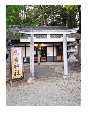チワワ 老犬 福 吠 伊賀 三重 桜 夢 忍者 銭湯 凄 安心 貸 一棟 犬 まんが 漫画 マンガ