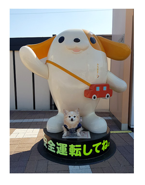 チワワ 老犬 福 吠 名古屋 みちまる ドッグラン SA きしめん 渋滞 箱根 犬 まんが 漫画 マンガ