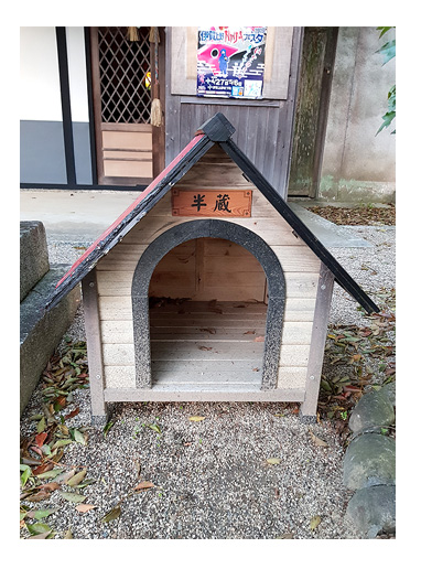 チワワ 老犬 福 吠 伊賀 三重 桜 夢 忍者 銭湯 凄 安心 貸 一棟 犬 まんが 漫画 マンガ
