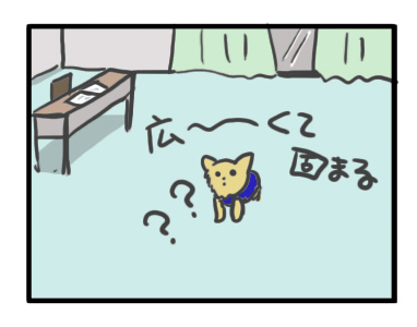 チワワ 老犬 福 吠 伊賀 三重 桜 夢 忍者 銭湯 凄 安心 貸 一棟 犬 まんが 漫画 マンガ